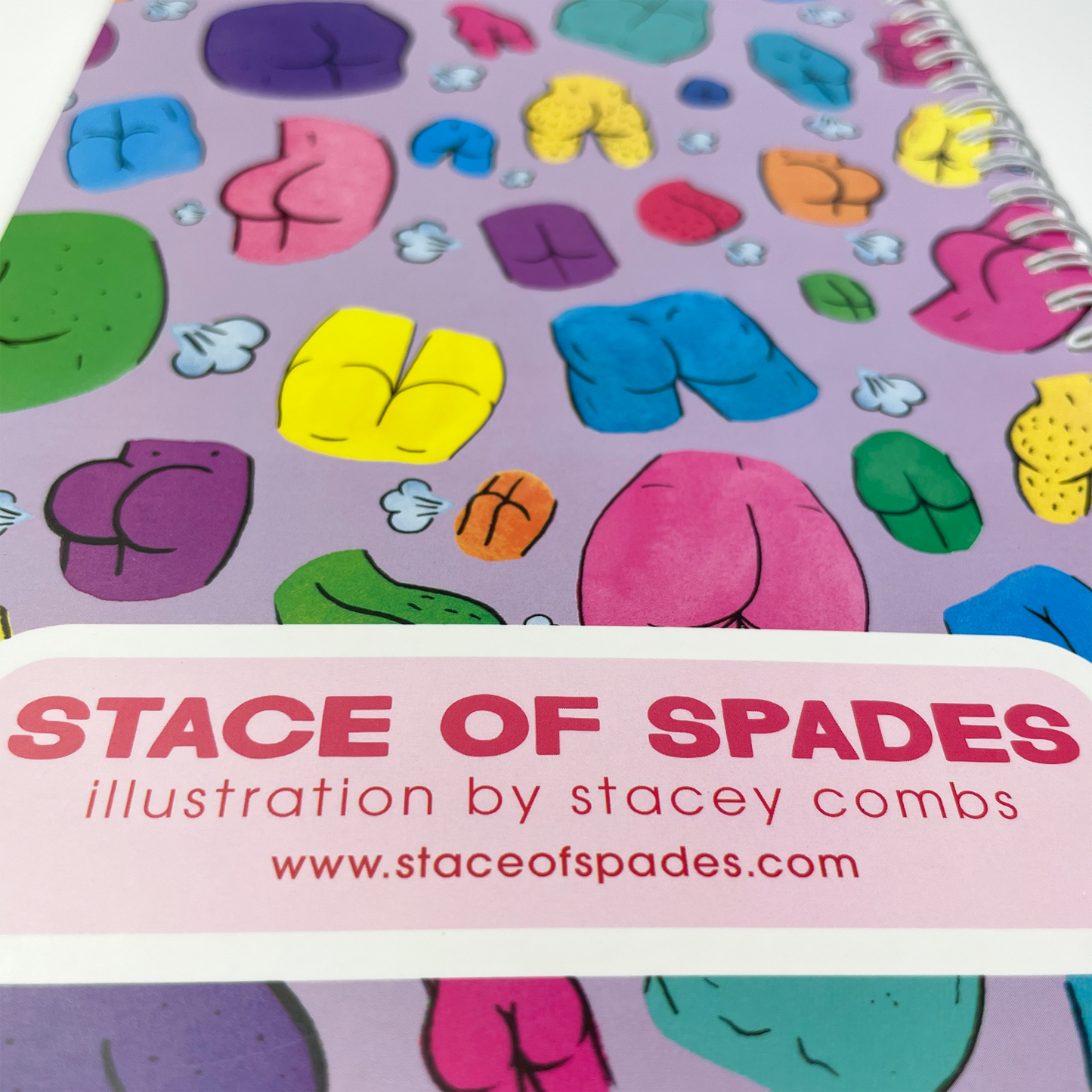 Reusable Sticker Notebooks