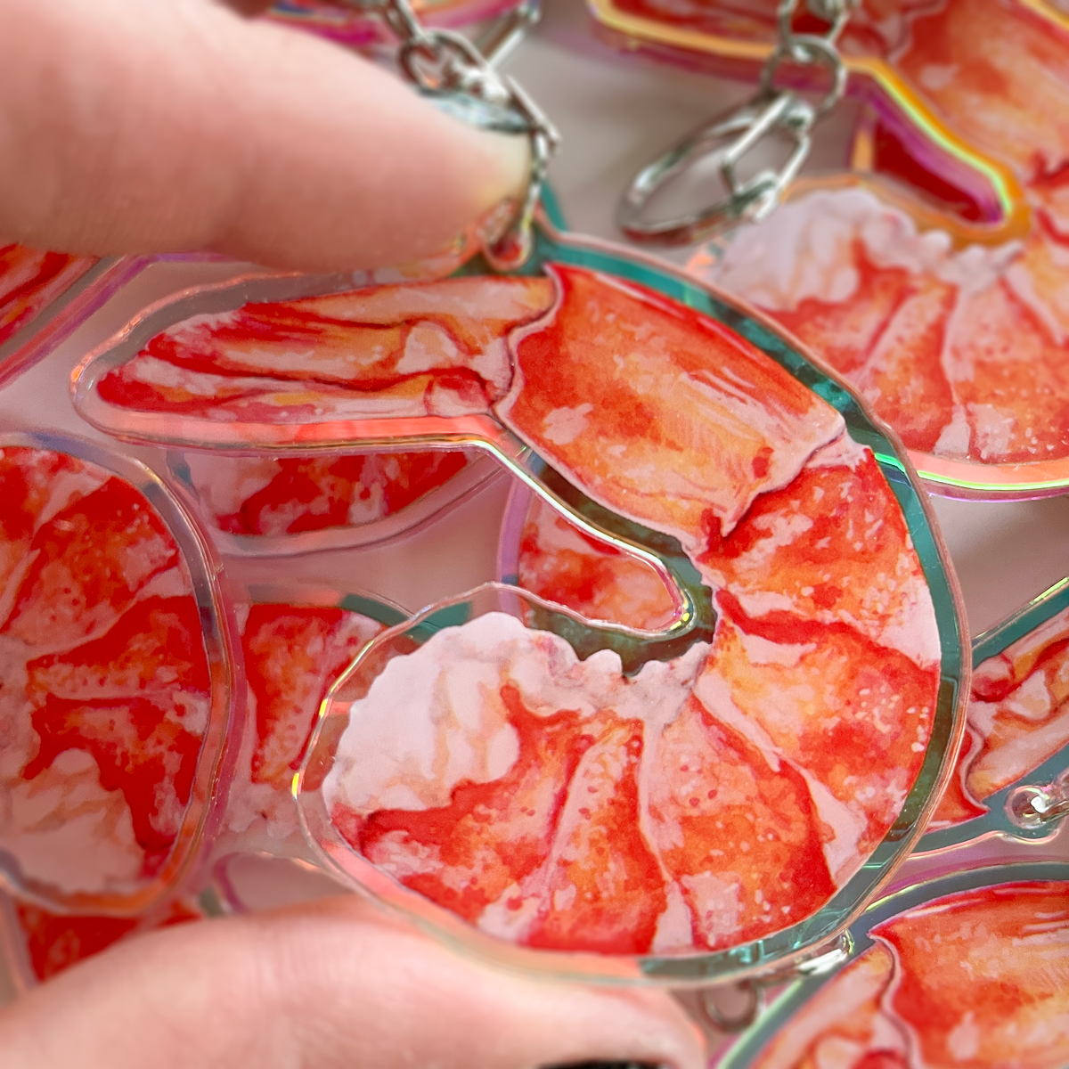 Shrimp Keychains