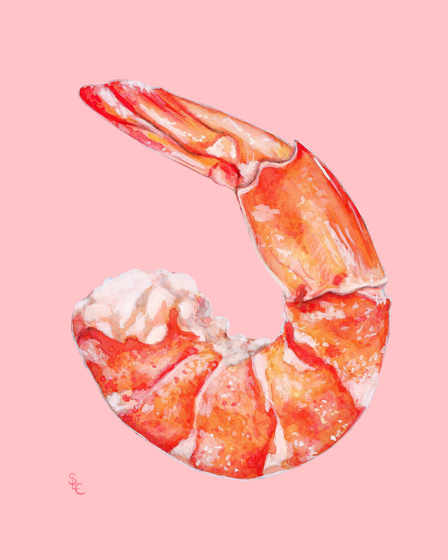 Food Illustration Prints