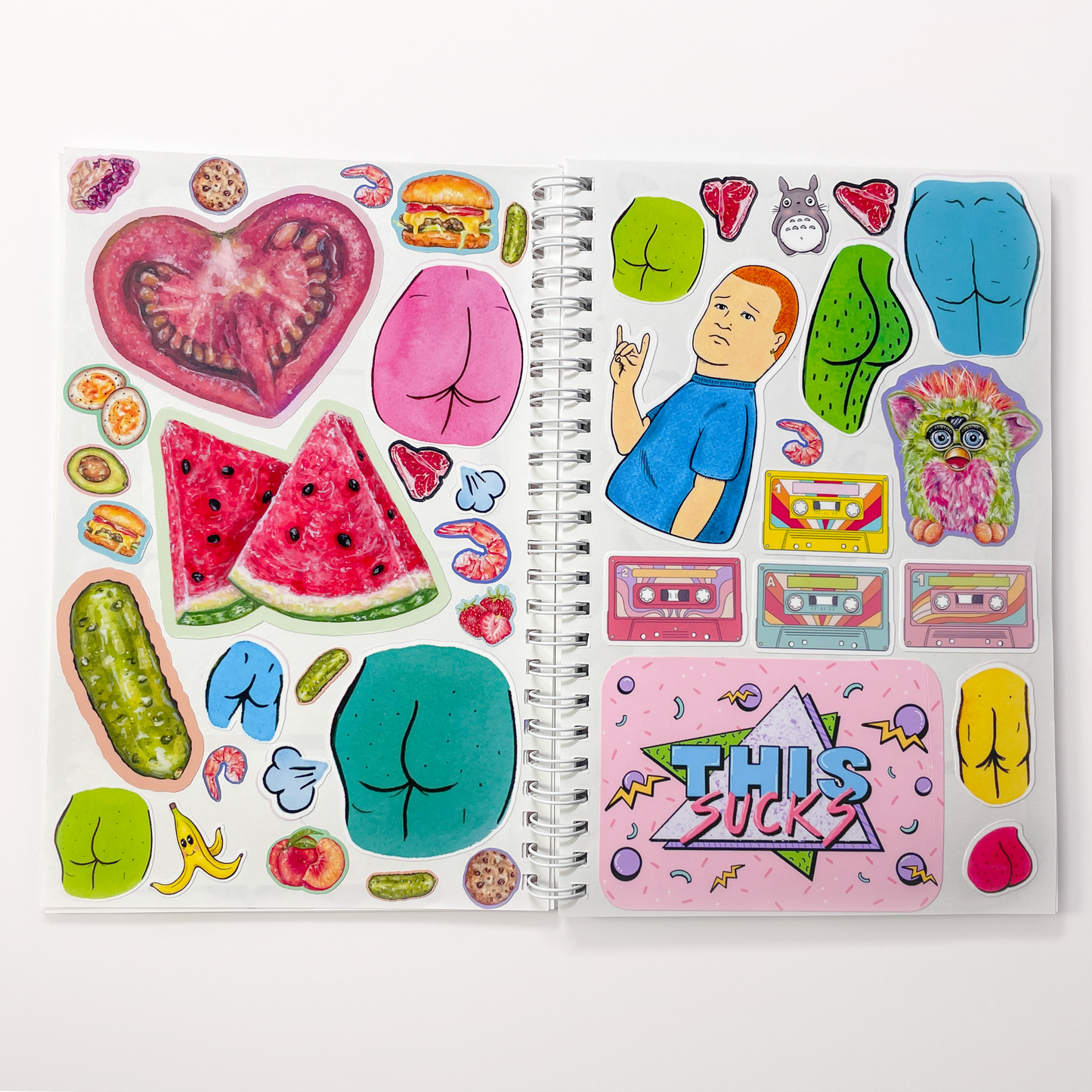 Reusable Sticker Notebooks