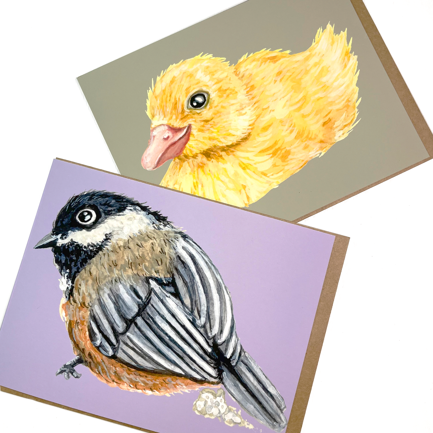Bird Notecards