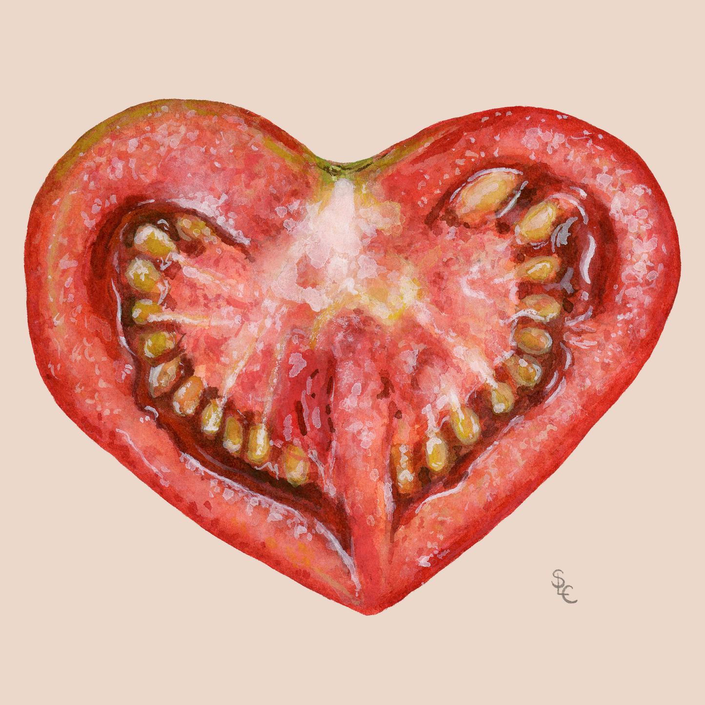 Food Illustration Prints