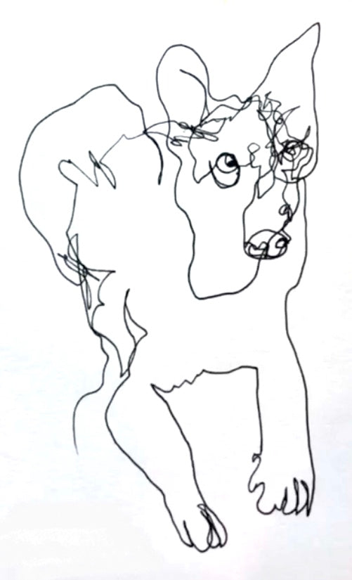 Blind Contour Drawings