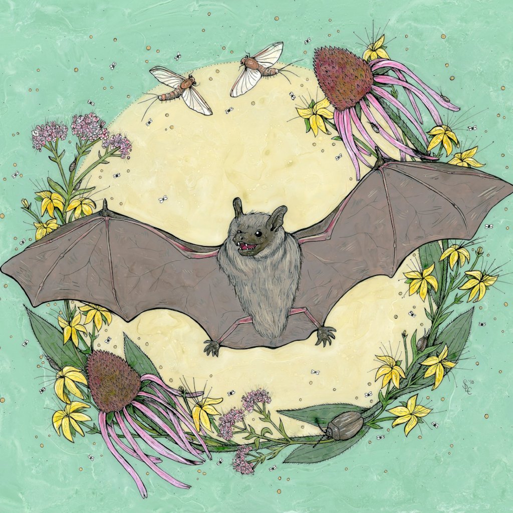 Big Brown Bat Painting