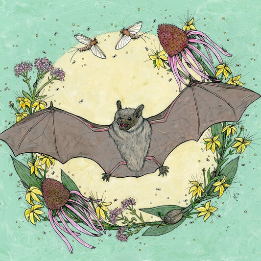 Big Brown Bat Print