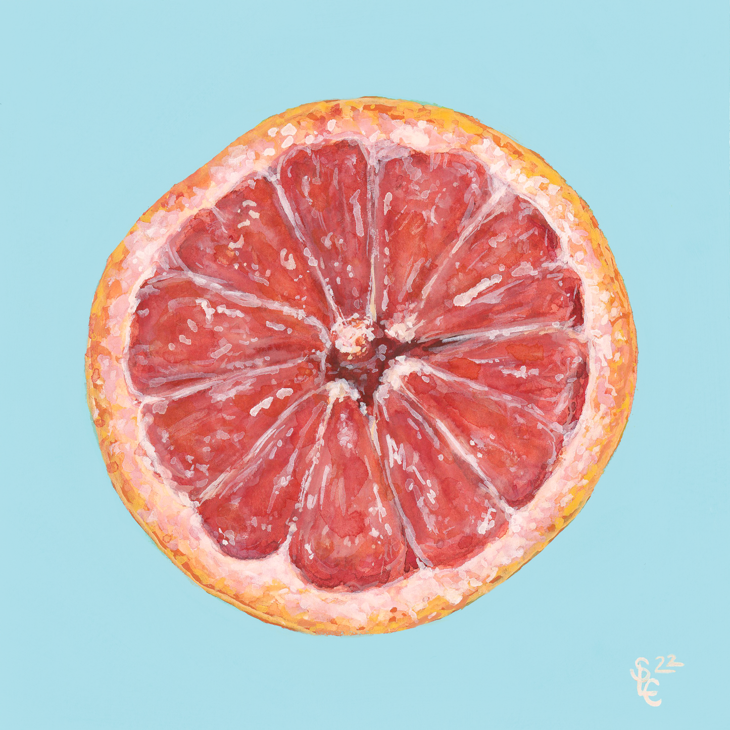 Food Illustrations- Original Watercolor + Gouache Paintings